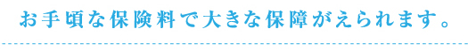 お手頃な保険料で大きな保障がえられます。