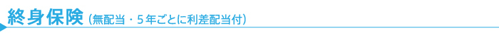 終身保険（無配当・5年ごとに利差配当付）